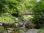 日本の里で川遊び！！！の写真のサムネイル写真8