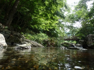 日本の里で川遊び！！！の写真25