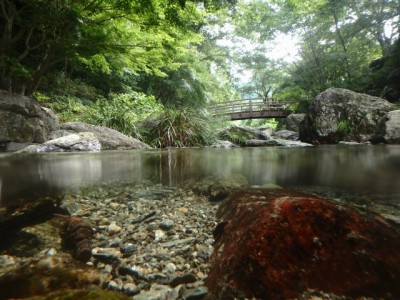 日本の里で川遊び！！！の写真27