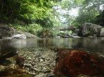 日本の里で川遊び！！！の写真のサムネイル写真27