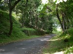 秩父の峠道の写真のサムネイル写真1
