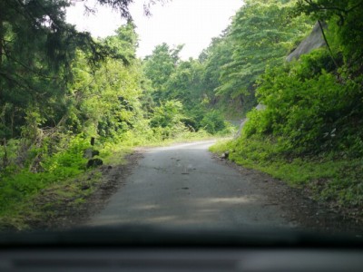 秩父の峠道の写真3