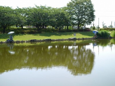 西城沼公園で小物釣り！！！の写真2