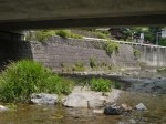 道の駅果樹公園あしがくぼで川遊び！！！の写真のサムネイル写真4