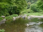 道の駅果樹公園あしがくぼで川遊び！！！の写真のサムネイル写真7