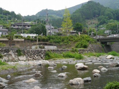 道の駅果樹公園あしがくぼで川遊び！！！の写真8