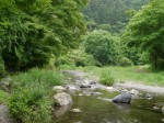 道の駅果樹公園あしがくぼで川遊び！！！の写真のサムネイル写真9