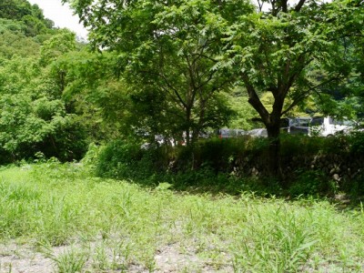 道の駅果樹公園あしがくぼで川遊び！！！の写真17