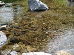 道の駅果樹公園あしがくぼで川遊び！！！の写真のサムネイル写真21