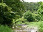 道の駅果樹公園あしがくぼで川遊び！！！の写真のサムネイル写真23