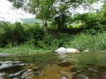 道の駅果樹公園あしがくぼで川遊び！！！の写真のサムネイル写真30