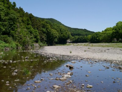 平日の巾着田キャンプ場の様子の写真6