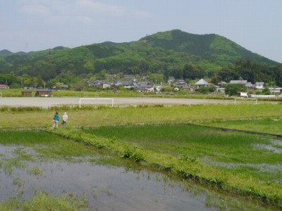 ゴールデンウィークの巾着田キャンプ場の様子の写真1