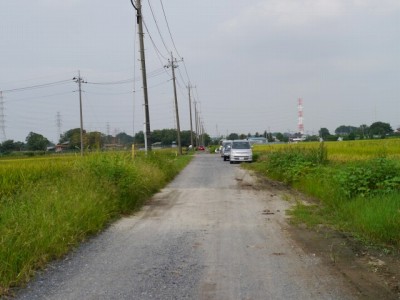 しらこばと公園の近くで用水路釣り！の写真13