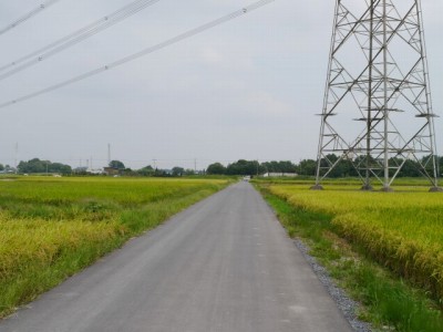 しらこばと公園の近くで用水路釣り！の写真17