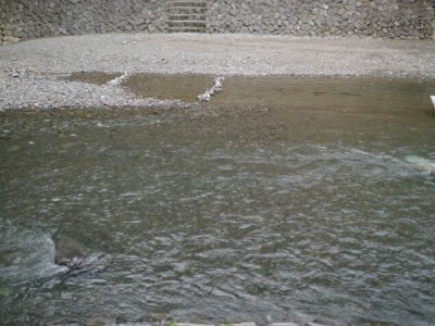 ウォーターパークシラヤマで川遊び！の写真3