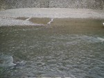 ウォーターパークシラヤマで川遊び！の写真のサムネイル写真3