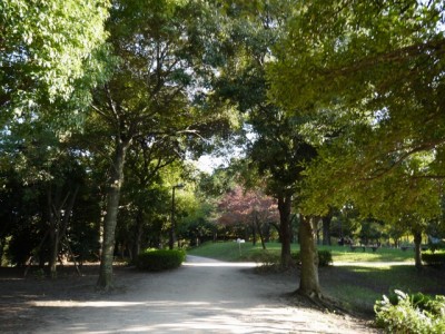 三橋総合公園でザリガニ釣り！の写真1