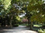 三橋総合公園でザリガニ釣り！の写真のサムネイル写真1