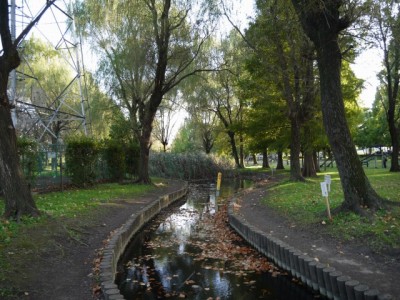 三橋総合公園でザリガニ釣り！の写真2