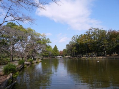 上尾丸山公園で小物釣り！の写真1