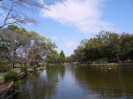 上尾丸山公園で小物釣り！の写真のサムネイル写真1