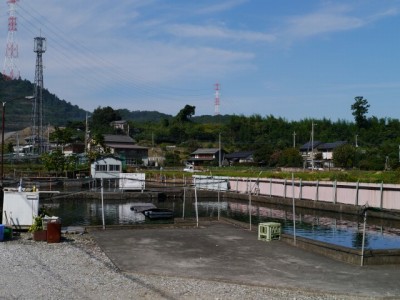 元田養鱒場でニジマス釣り！の写真8