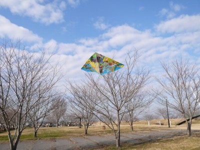 羽生スカイスポーツ公園で凧揚げ！の写真2