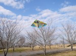 羽生スカイスポーツ公園で凧揚げ！の写真のサムネイル写真2