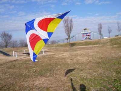 羽生スカイスポーツ公園で凧揚げ！の写真3