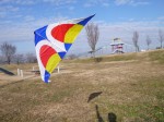 羽生スカイスポーツ公園で凧揚げ！の写真のサムネイル写真3