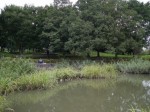 別府沼公園で小物釣り！の写真のサムネイル写真5