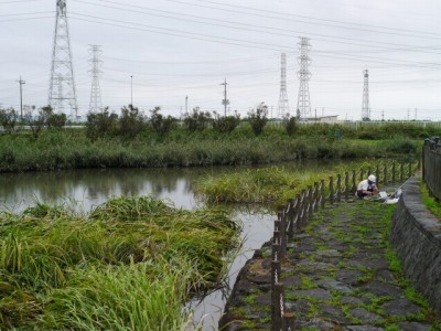 別府沼公園で小物釣り！の写真7