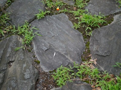 別府沼公園で小物釣り！の写真12