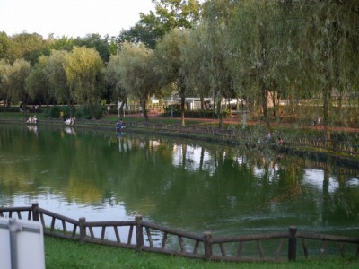 北本総合公園で小物釣り！の写真1