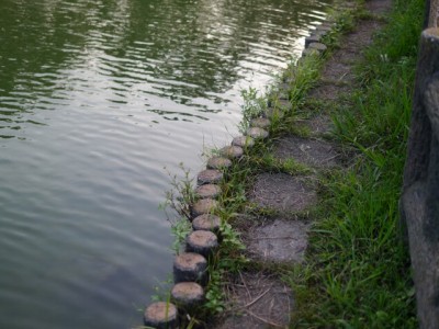 北本総合公園で小物釣り！の写真4