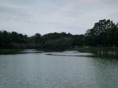 北本総合公園で小物釣り！の写真11