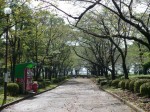 城山公園で小物釣り！の写真のサムネイル写真1