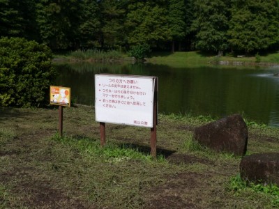 城山公園で小物釣り！の写真2