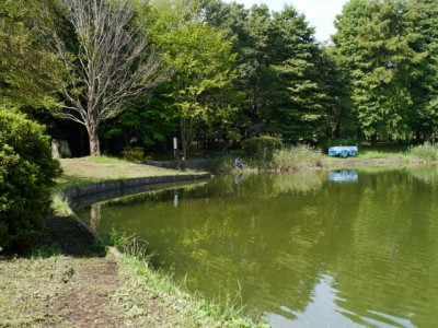 城山公園で小物釣り！の写真4