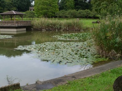 城山公園で小物釣り！の写真13