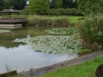 城山公園で小物釣り！の写真のサムネイル写真13
