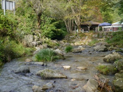 日本の里で川遊び！の写真2