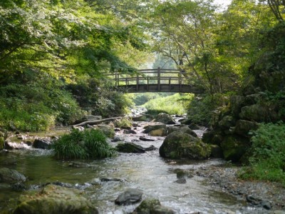 日本の里で川遊び！の写真3
