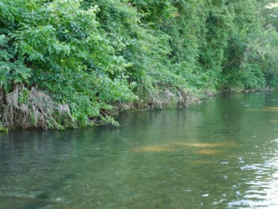 槻川の河原1で川遊び！の写真8