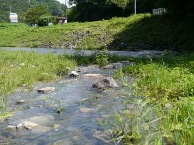 槻川の河原2の川遊び！の写真4