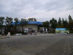 秋のわくわく公園まつりの写真のサムネイル写真4