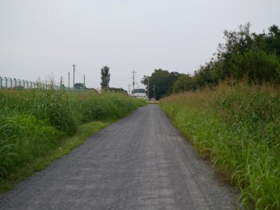 羽生水郷公園の近くで用水路釣り！の写真3