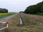 羽生水郷公園の近くで用水路釣り！の写真のサムネイル写真4