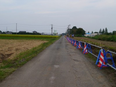 羽生水郷公園の近くで用水路釣り！の写真5